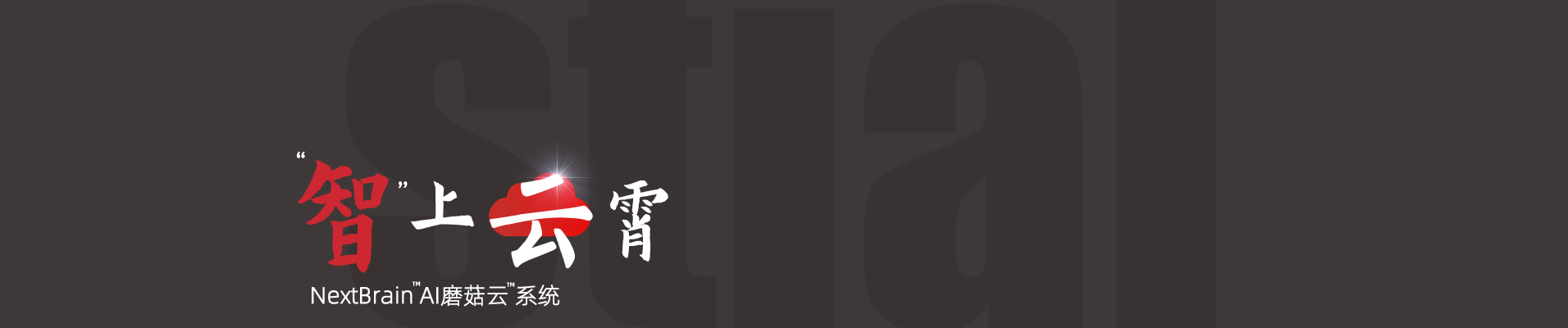 NextBrain? AI磨菇云系統